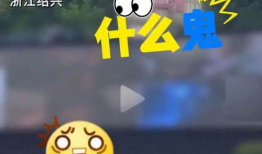 黄色视频哪里找,探寻网络色情内容的传播途径