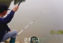 钓鱼视频,揭秘钓鱼视频中的精彩瞬间