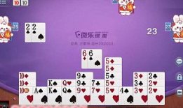 掼蛋视频,激情四溢的牌技对决