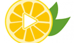 柠檬视频,揭秘短视频时代的魅力与挑战