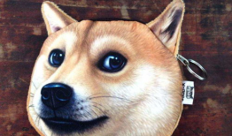 狗头视频,萌宠表情包的欢乐盛宴