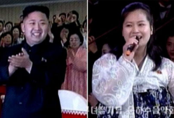中国成人视频,内容、影响与监管视角