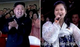 中国成人视频,内容、影响与监管视角