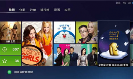 兔子视频,趣味横生的动物世界一瞥