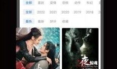 中出在线视频,揭秘网络色情传播的暗流涌动