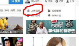 调教视频免费,视频教程助你掌握宠物训练技巧