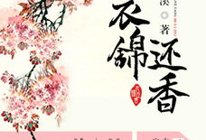 衣锦还,传奇归来的荣耀与变迁