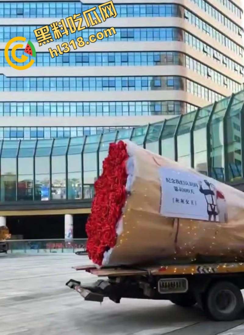 深圳南山区苑南路，老牛吃嫩草求婚现场，送俩束超大鲜花，多大的屋子才能搁下这两个大玩意儿 !-3